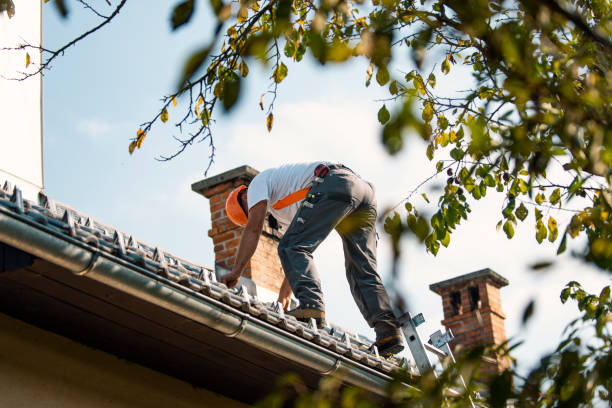Best Commercial Roofing Services  in Powderly, TX