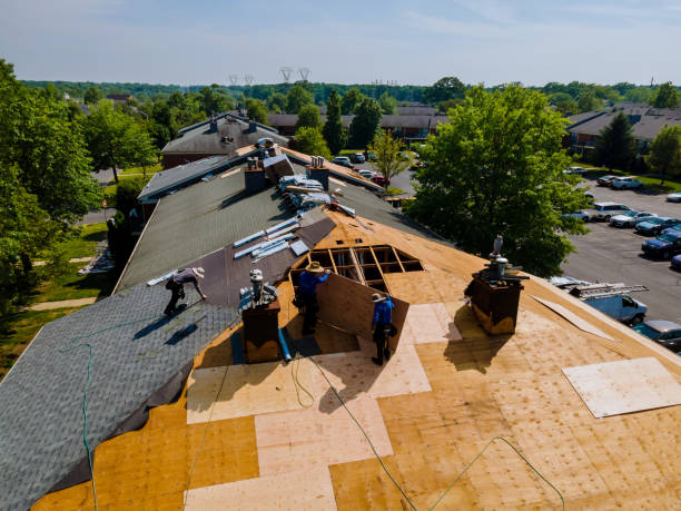 Roof Installation Near Me in Powderly, TX