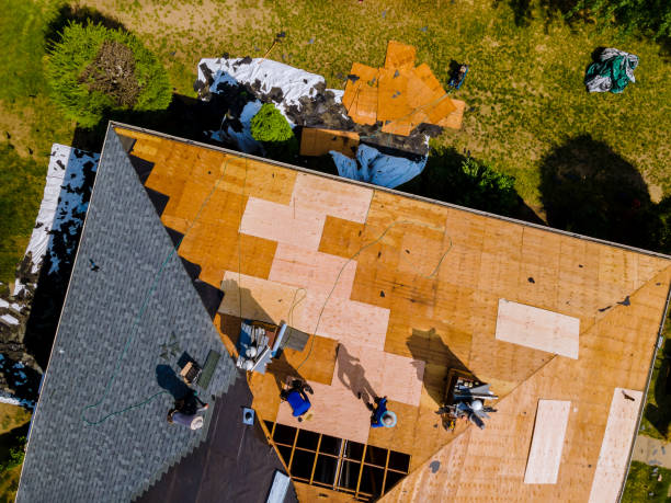  Powderly, TX Roofing Contractor Pros