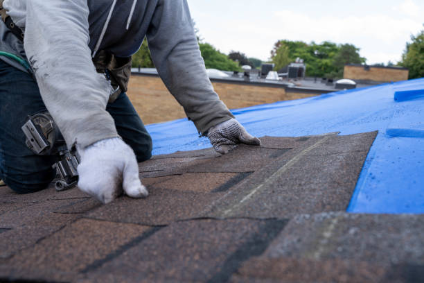 Best Roof Maintenance Services  in Powderly, TX