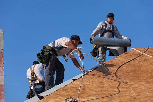 Best Commercial Roofing Services  in Powderly, TX