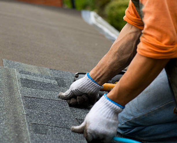 Best Roof Repair Services  in Powderly, TX