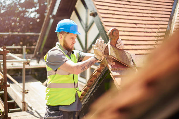 Best Metal Roofing Contractor  in Powderly, TX