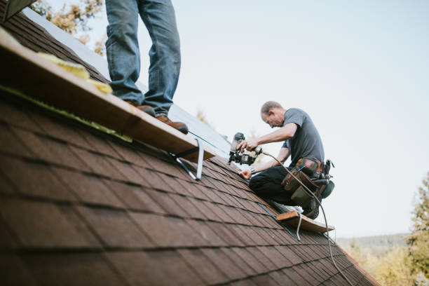 Best Roofing Contractors for Homes  in Powderly, TX