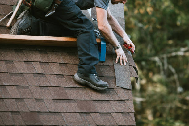 Professional Roofing Contractor in Powderly, TX