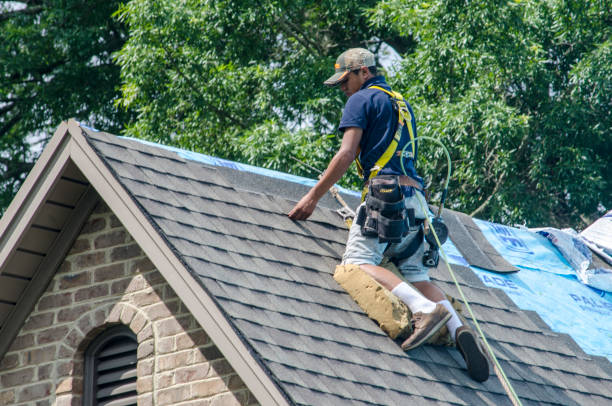 Best Metal Roofing Contractor  in Powderly, TX